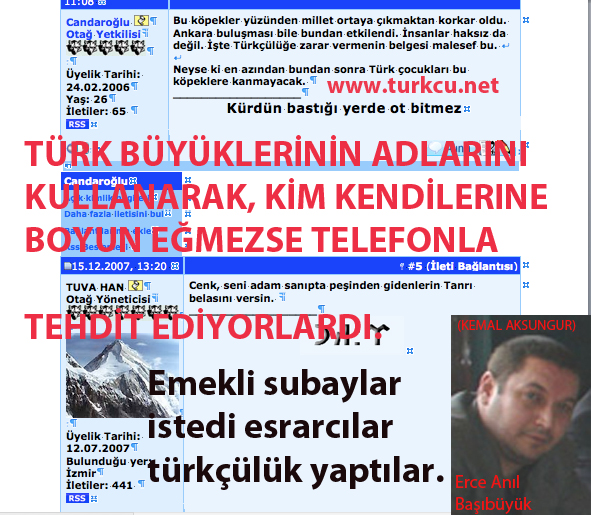 www.lokmanuzel.wordpress.com, www.turkcu.net, www.nihalatsiz.com